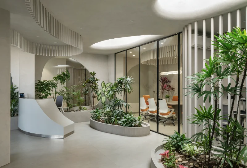 Rizwani Office