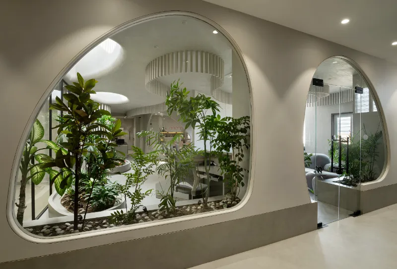 Rizwani Office