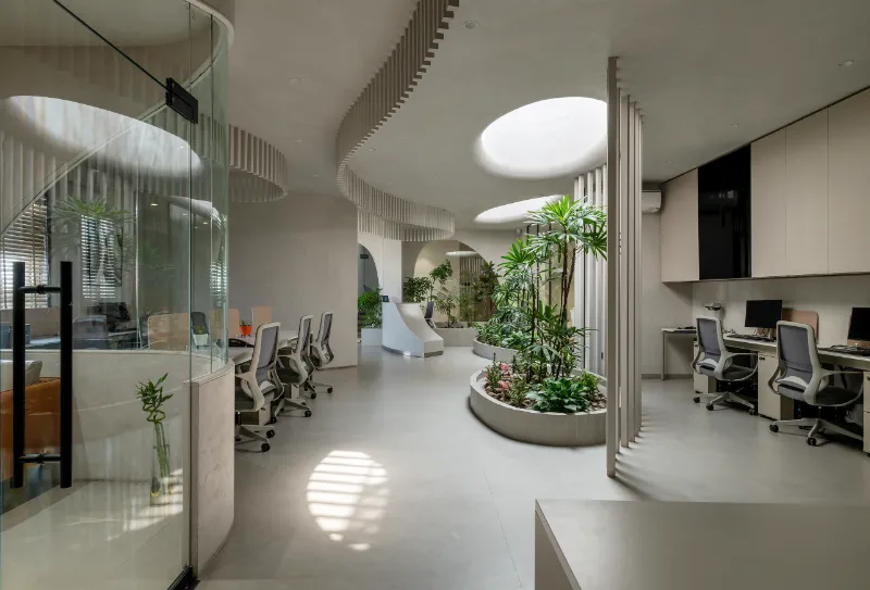 Rizwani Office