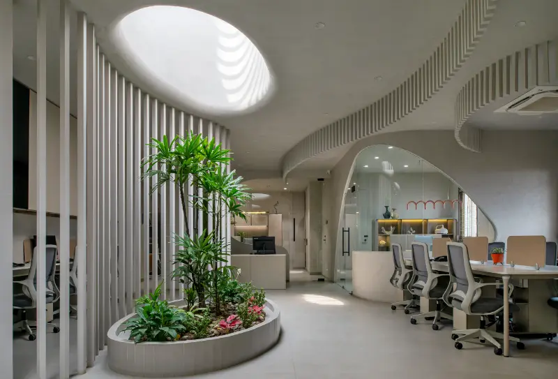 Rizwani Office