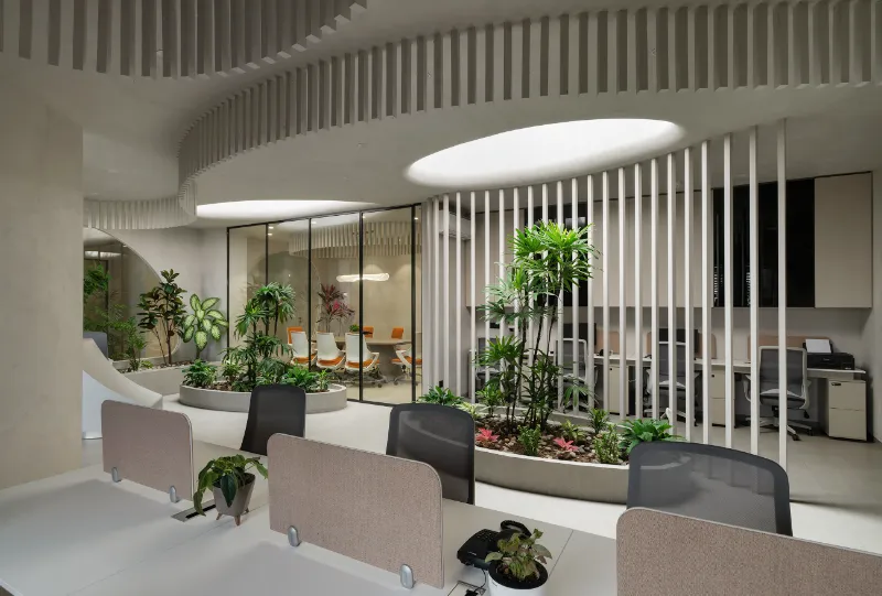 Rizwani Office